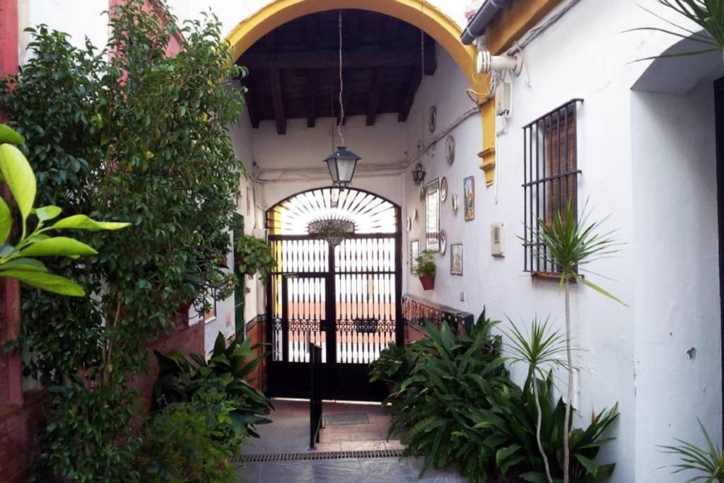Tipico Y Pintoresco Patio De Vecinos, Con Encanto إشبيلية المظهر الخارجي الصورة