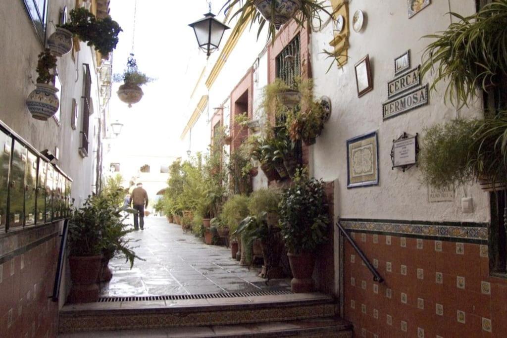 Tipico Y Pintoresco Patio De Vecinos, Con Encanto إشبيلية المظهر الخارجي الصورة