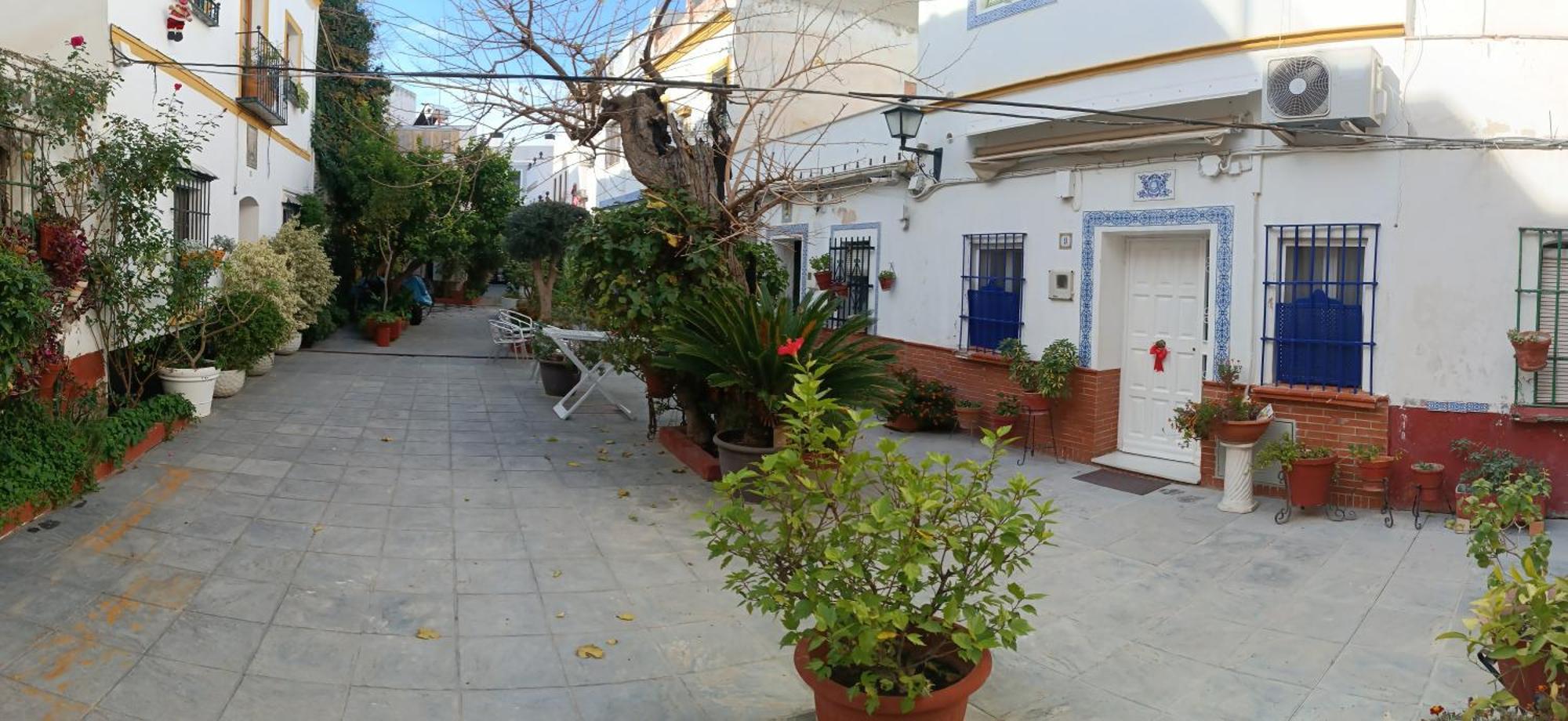 Tipico Y Pintoresco Patio De Vecinos, Con Encanto إشبيلية المظهر الخارجي الصورة