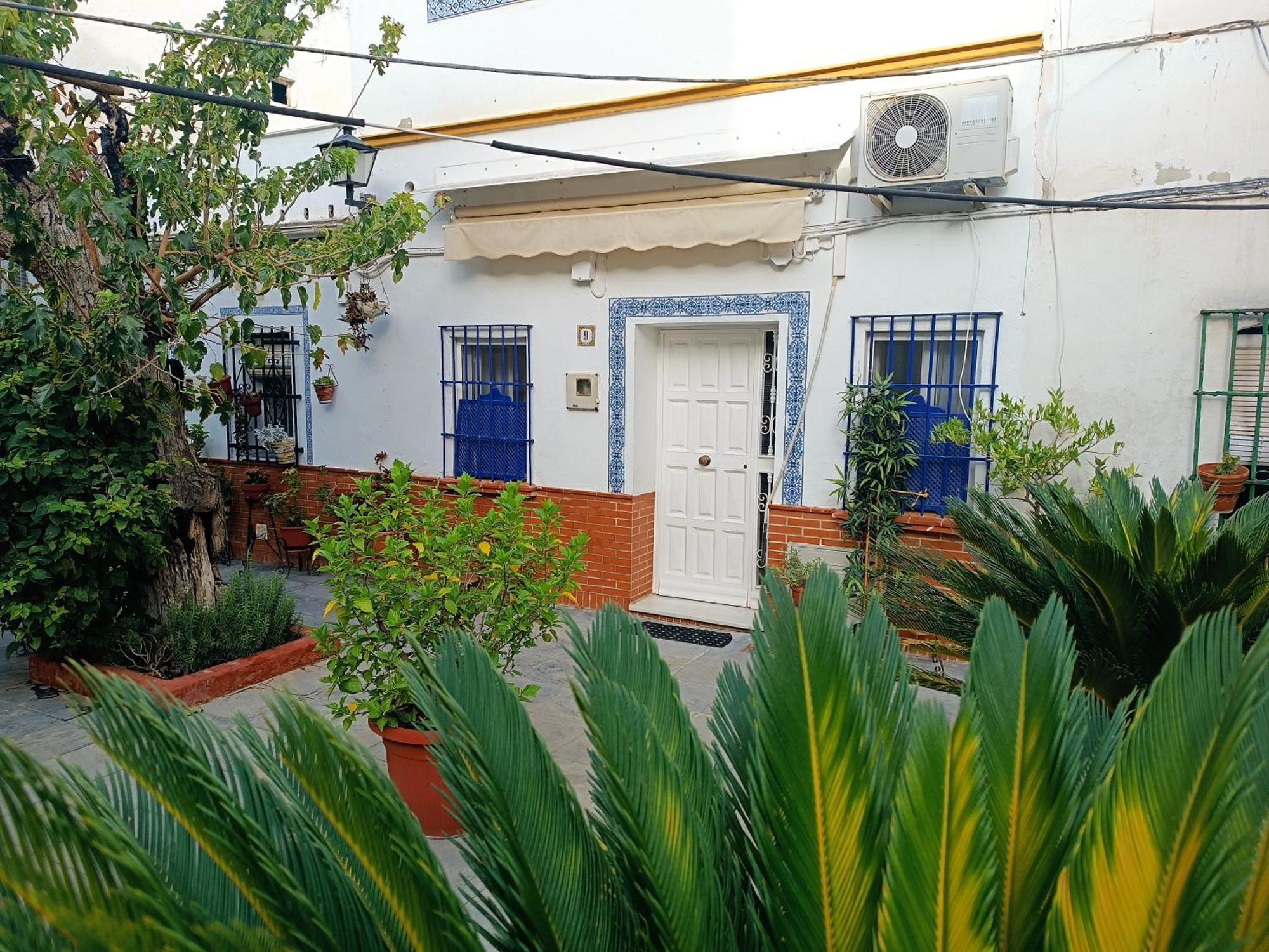 Tipico Y Pintoresco Patio De Vecinos, Con Encanto إشبيلية المظهر الخارجي الصورة