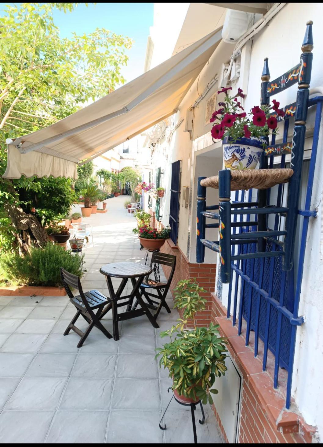 Tipico Y Pintoresco Patio De Vecinos, Con Encanto إشبيلية المظهر الخارجي الصورة